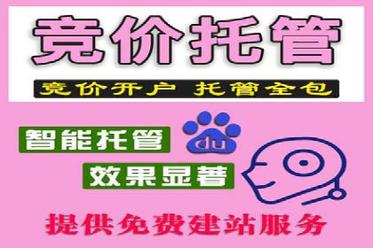 SEM托管服务案例：实现品牌价值最大化